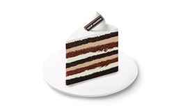 파스쿠찌 (쇼트)레이어 초코케이크